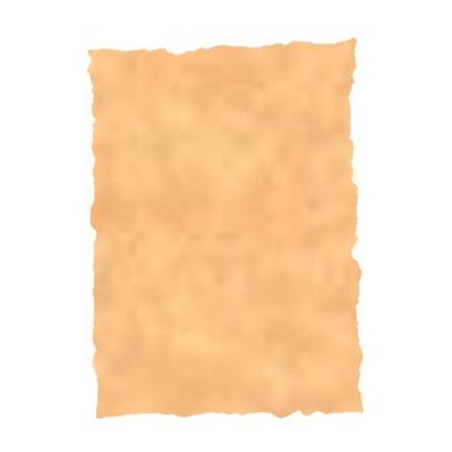 (2605229) MICHEL PERGAMINO TROQUELADO 150GR A4 PACK 25U OCRE