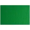 (F42450711) SADIPAL CARTULINA LR 200 TEXTURIZADA 50X70CM VERDE