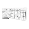 (25467) TRUST COMBO TECLADO + RATÓN INALÁMBRICO ODY II SILENCIOSO BLANCO