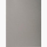 (410009E) EXACOMPTA SUBCARPETAS A4 FOREVER COLOR GRIS 220GR -100U-
