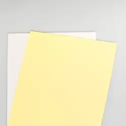 (003R99105) XEROX PAPEL CARBONLESS PREALZADO A4 80GR STRAIGHT 2H 250 JUEGOS (CB BLANCA