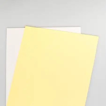 (003R99105) XEROX PAPEL CARBONLESS PREALZADO A4 80GR STRAIGHT 2H 250 JUEGOS (CB BLANCA