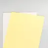 (003R99105) XEROX PAPEL CARBONLESS PREALZADO A4 80GR STRAIGHT 2H 250 JUEGOS (CB BLANCA