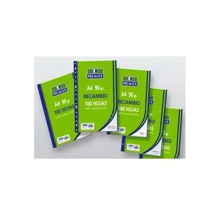 (C518-A4-90) ZORRILLA RECAMBIO PREMIER 100H A4 90GR PAUTA 2