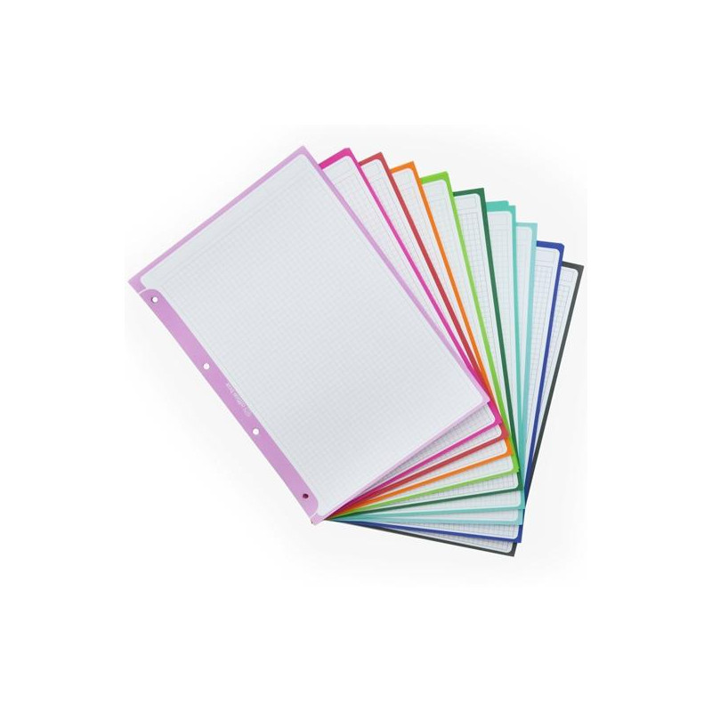 (11011) OFFICE BOX RECAMBIO PAPEL CARPETA & BLOCK A4+ COLORLINE 100H 5X5 90GR 10 BANDAS COLOR