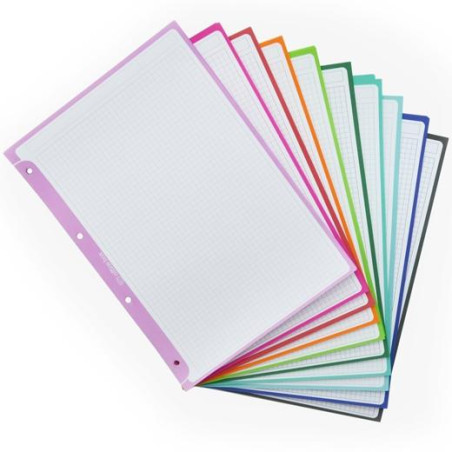 (11011) OFFICE BOX RECAMBIO PAPEL CARPETA & BLOCK A4+ COLORLINE 100H 5X5 90GR 10 BANDAS COLOR